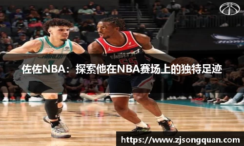 佰富彩公司